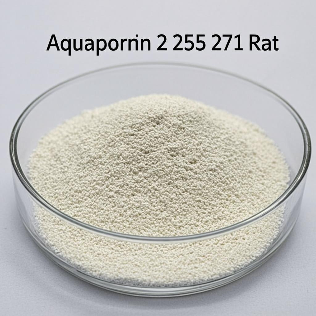 aquaporin 2 255 271 rat lab product clean