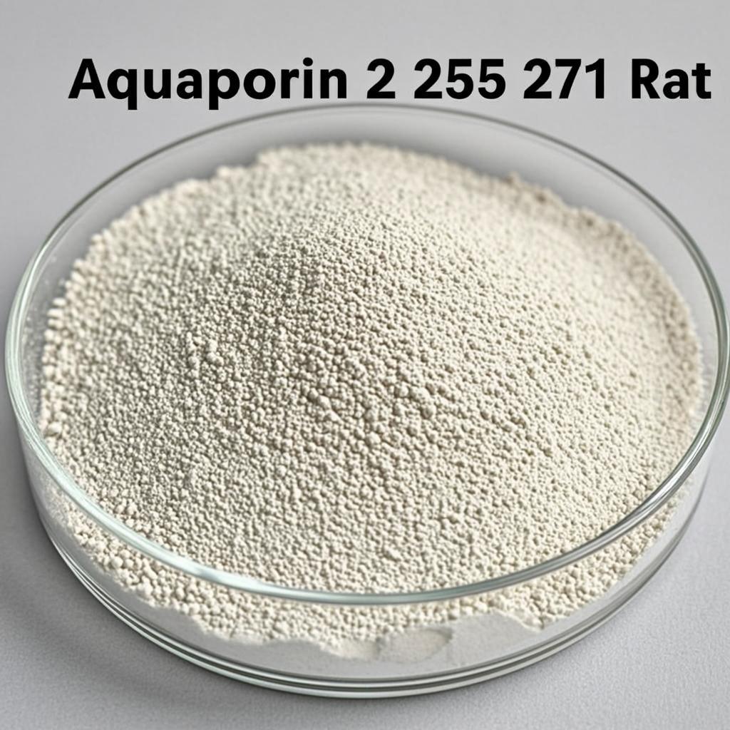 aquaporin 2 255 271 rat powder macro